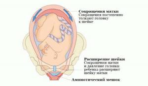 Тонус матки при беременности: симптомы в 1, 2, 3 триместре
