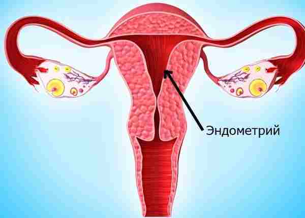Неоднородный эндометрий: что это значит