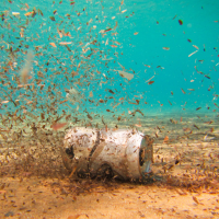 Загрязнение тяжелыми металлами: содержание и предельно-допустимые концентрации в воде