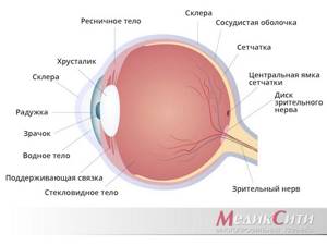 Травмы органов зрения