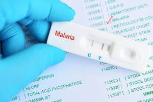 Малярия (malaria)