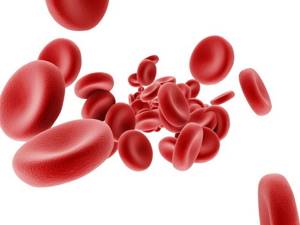 Состав крови здорового человека
