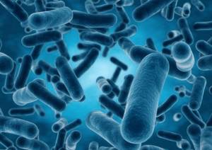 Что такое микробы и чем они отличаются от паразитов?
