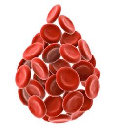 Что такое эритроциты: функции и характеристики красных кровяных телец
