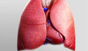 Как вылечить астму народными рецептами?