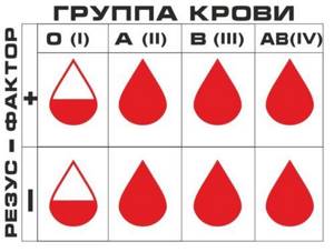 Группы крови - совместимость при переливании, системы классификаций и проблемы