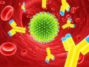 Что такое иммунитет и для чего он нужен организму?