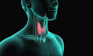 Правила при лечении заболеваний щитовидной железы